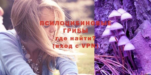 гидра Лихославль