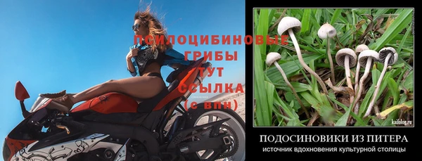 альфа пвп VHQ Богданович