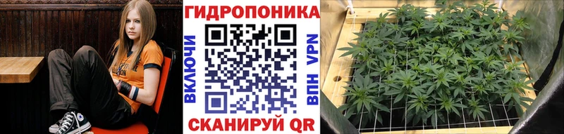 Канабис White Widow  Болгар 